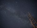 galaxy discovered by James Webb