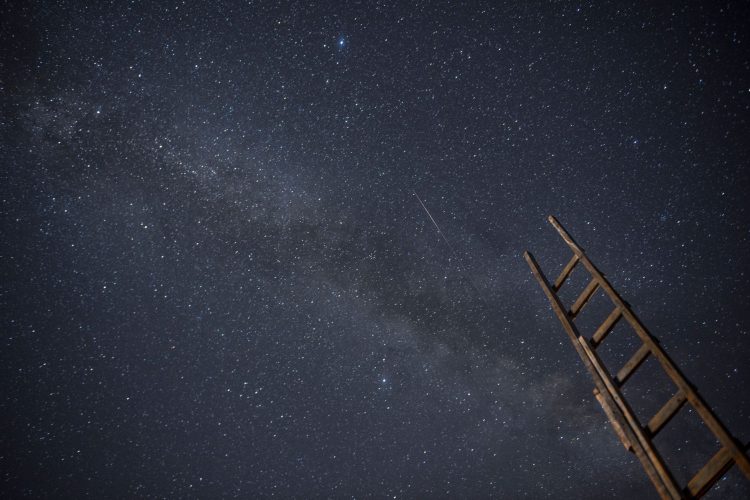 galaxy discovered by James Webb