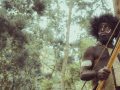 Ancestors: The Humankind Odyssey