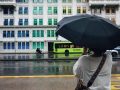 SG Finserve Q2 results